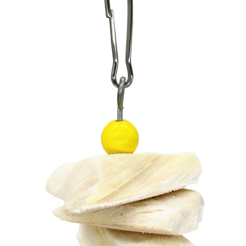 Parrot Cuttlefish Bone Toy