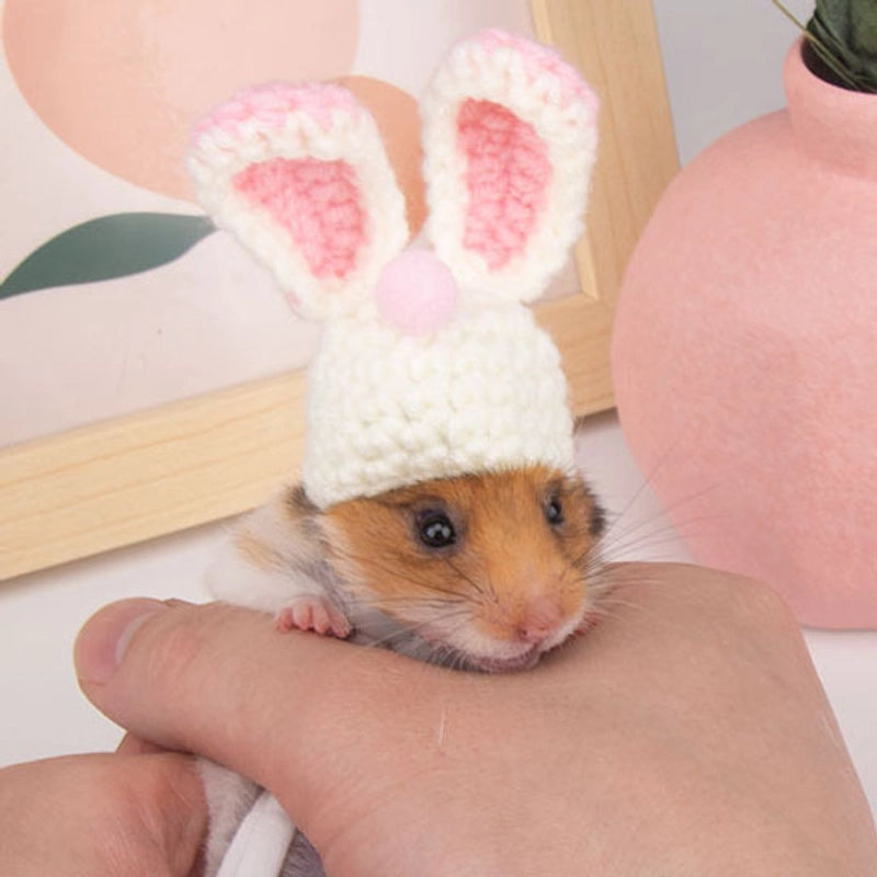 Hamster Hat Parrot Hair Band Photo Small Animal Headdress Handmade Frog Hat Ornaments Hedgehog Headgear Explosions