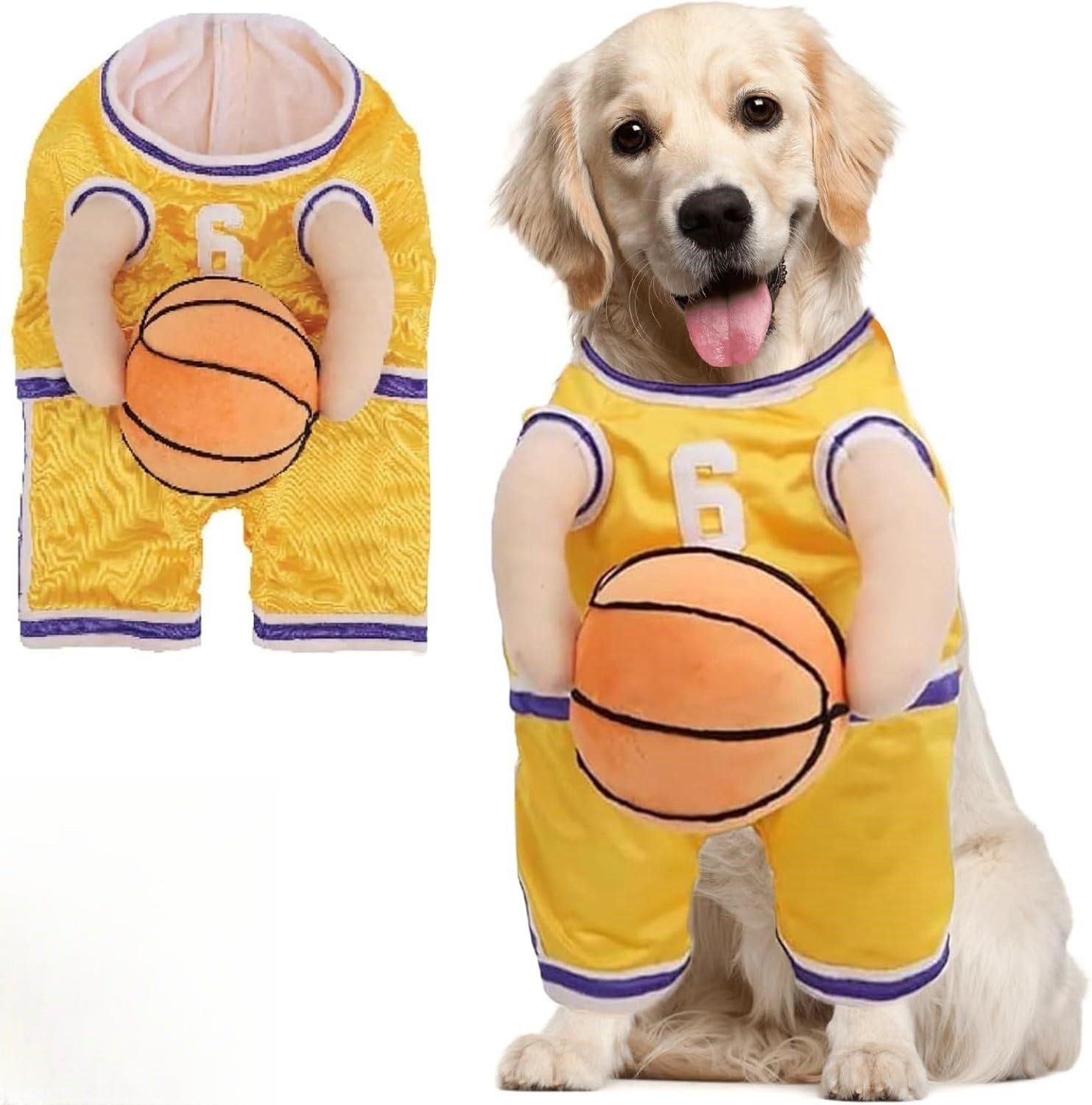 Dog Basketball Costume with Ball