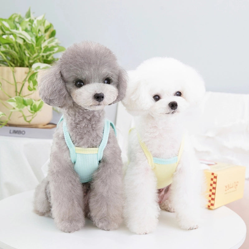 Pet Princess Skirt Clothes Pet Dog Clothes Pet Clothing Spring And Summer New 23 Running Puppy Skirt