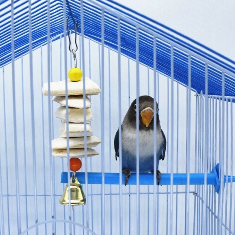 Parrot Cuttlefish Bone Toy