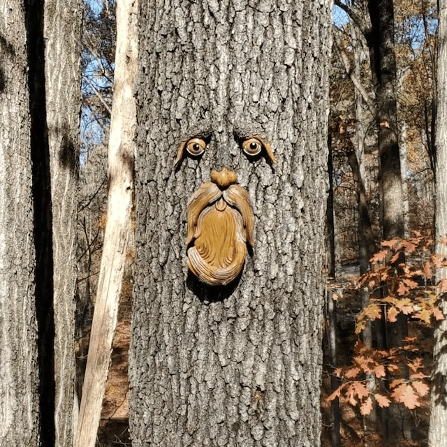 Hot Sale 49% OFF🌳Unique Bird Feeders for Outdoors-Old Man Tree Art