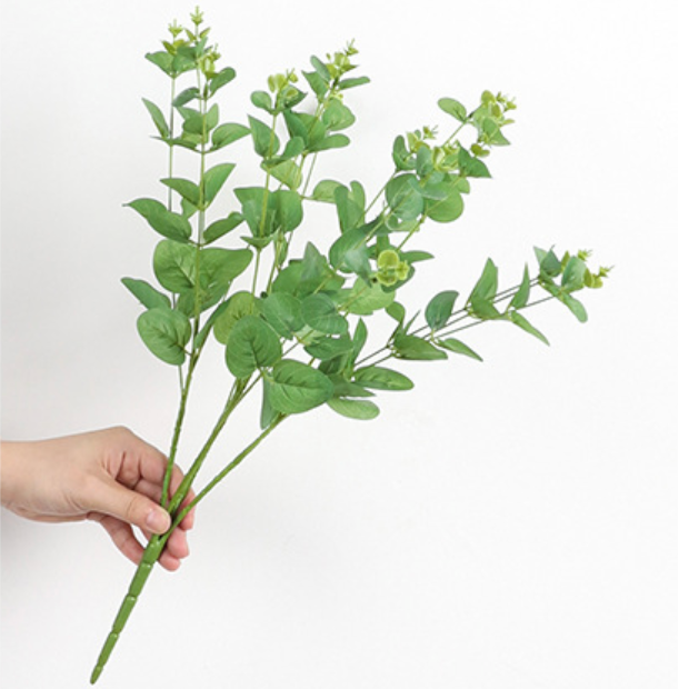 Eucalyptus Leaves