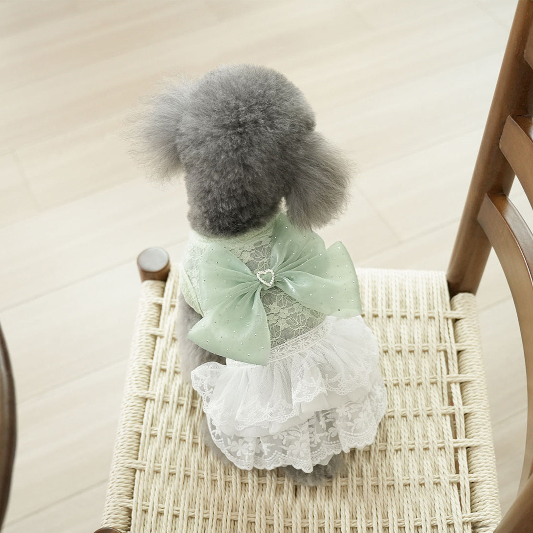 Sweet Lace Design Bow Dog Cat Dress