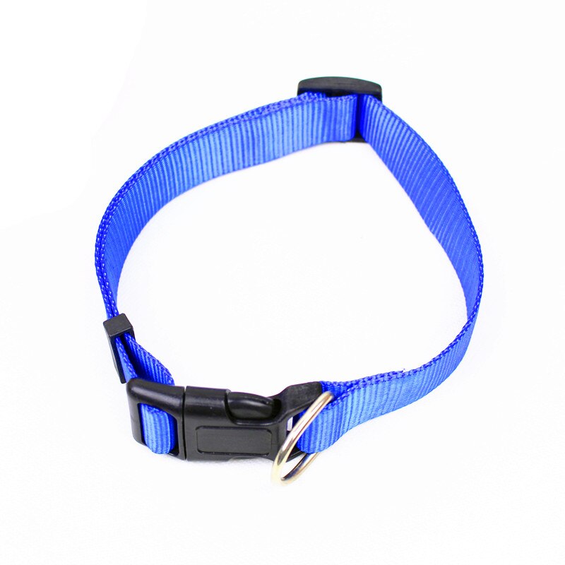 Large Dog Collar