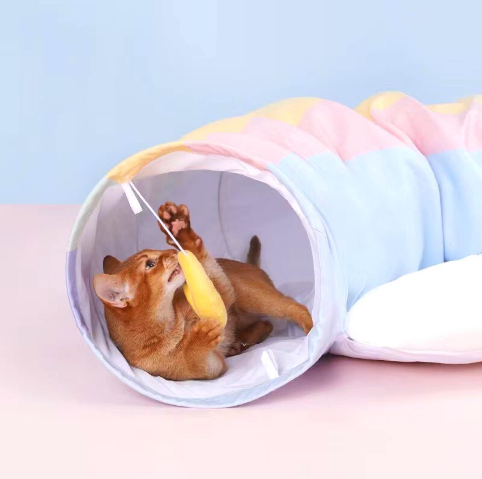 Rainbow Tunnel Toys and Removable Cat Bed