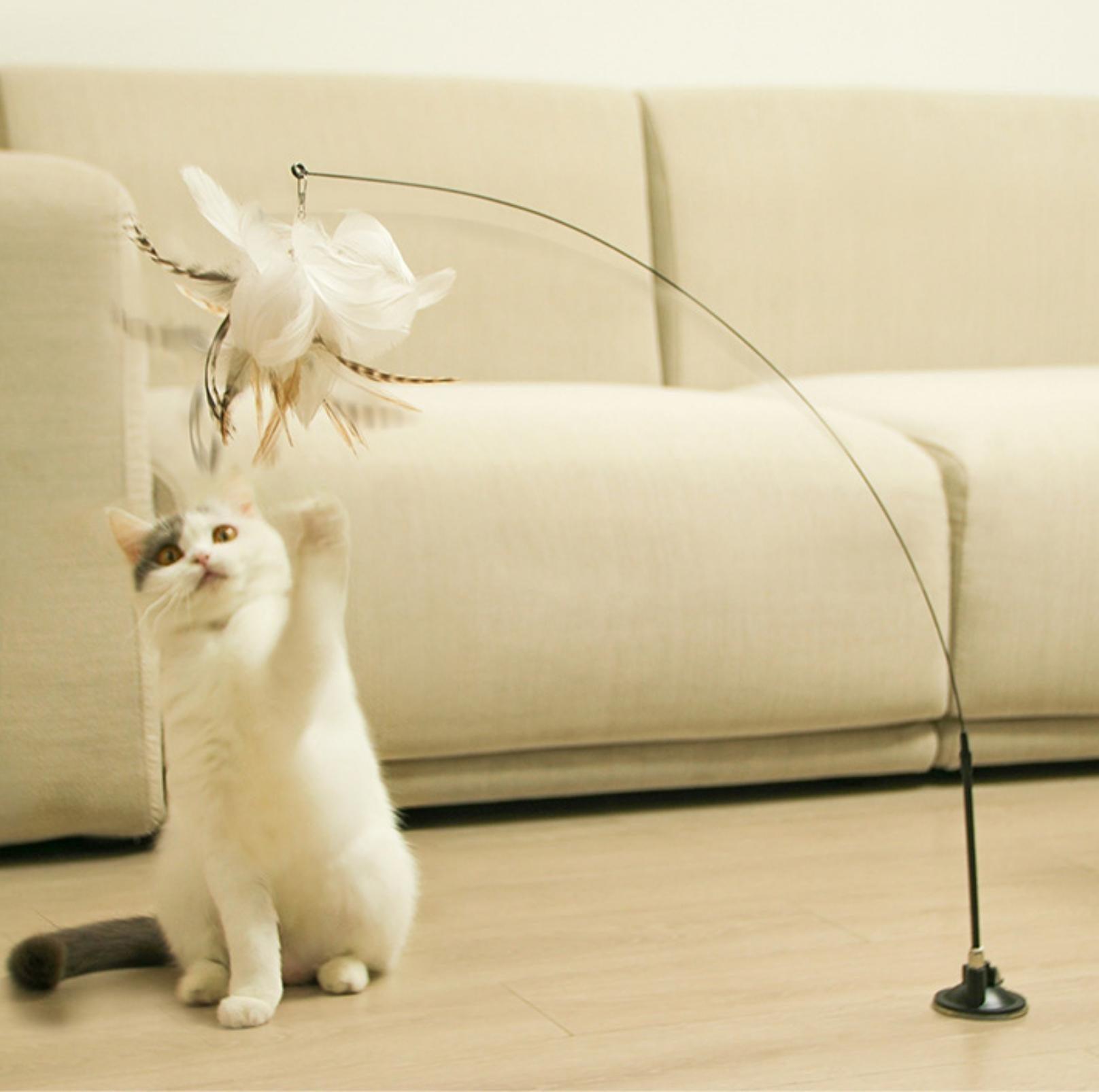 Free Your Hands: Extended Elastic Wire Cat Stick Teaser Cat Toys