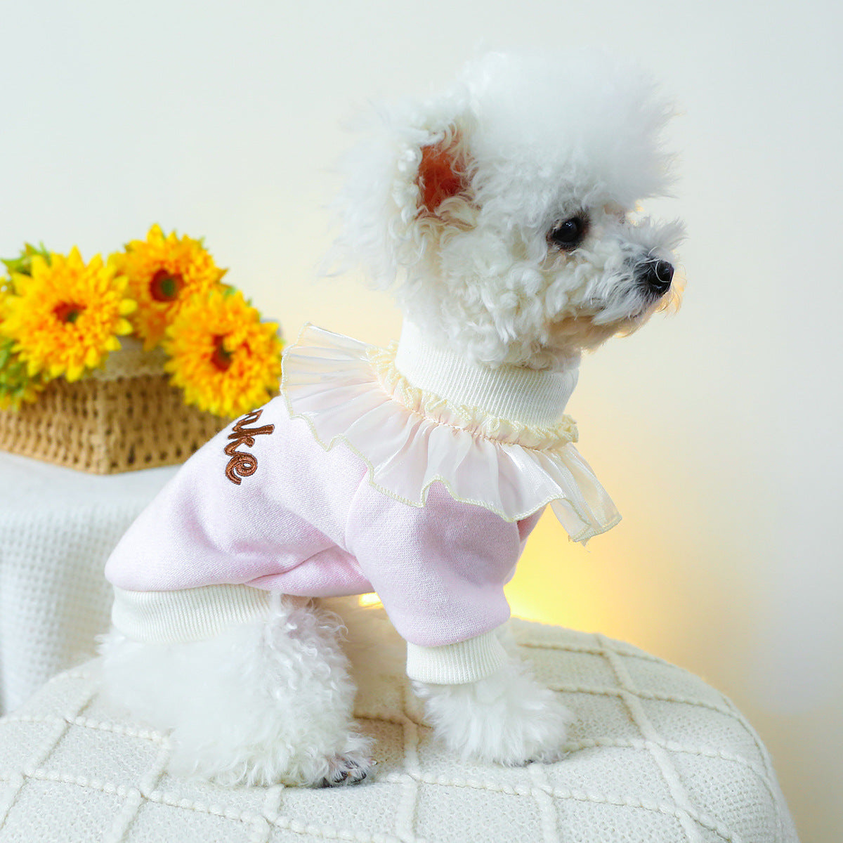 Cupcake Lace Collar Dog Cat Sweatshirt