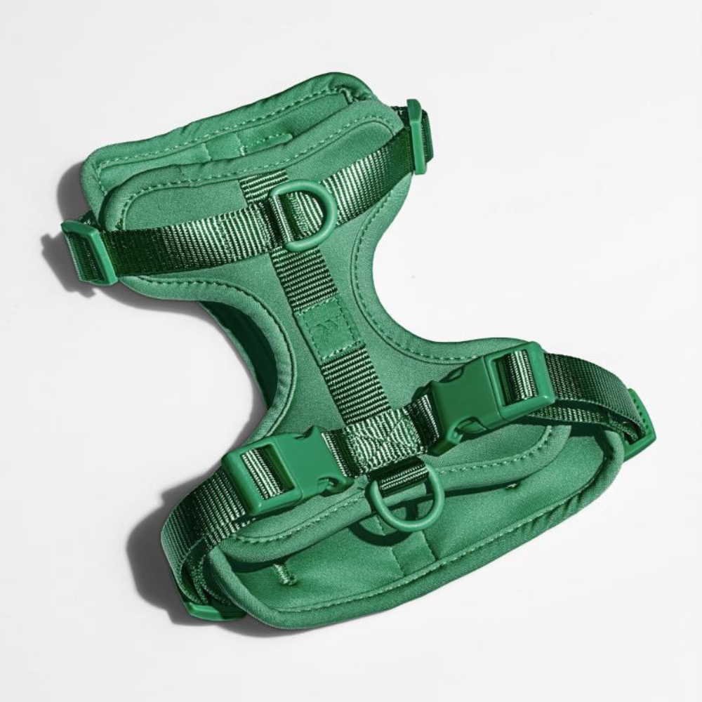 Wild One Dog Harness