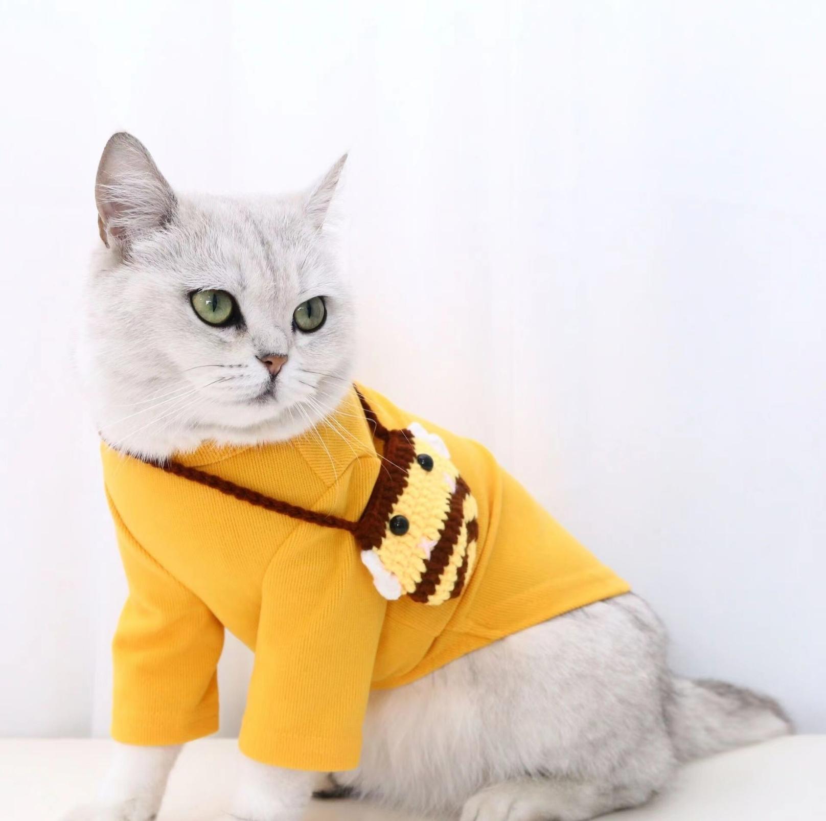 Knitted Cartoon Pet Self-Carrying Pack Style Accessory