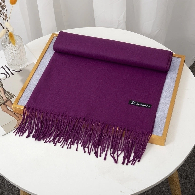 Women's Minimalist Solid Color Imitation Cashmere Tassel Scarf