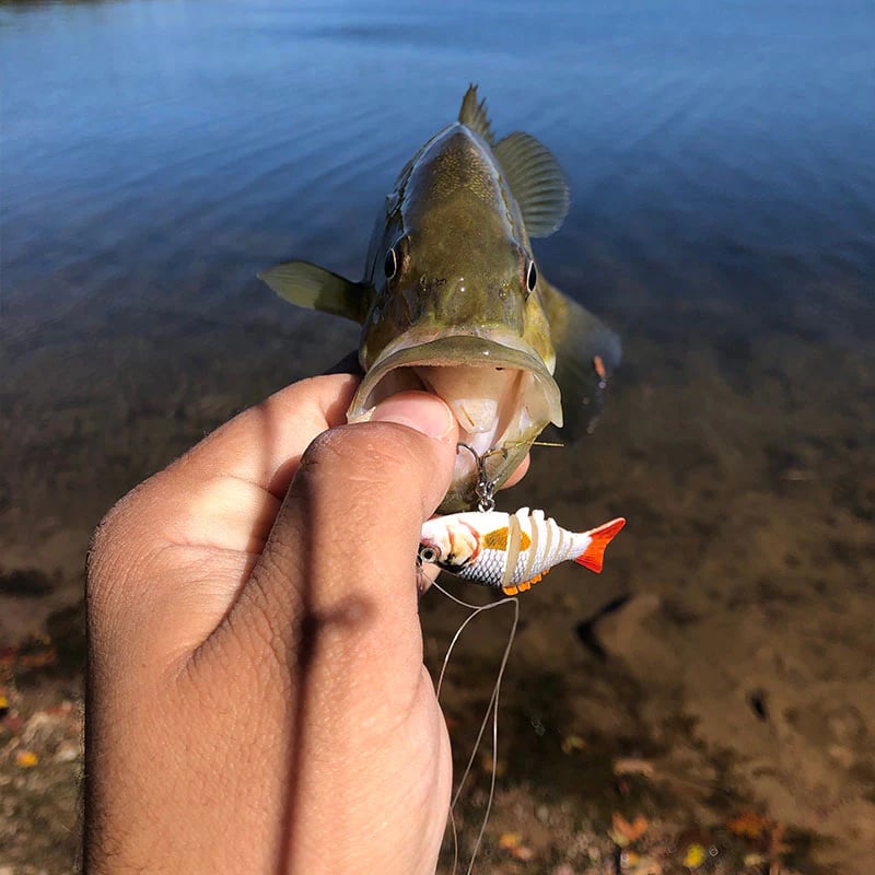 🔥Micro Jointed Swimbait