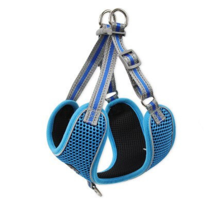 Breathable Pet Harness And Leash Set