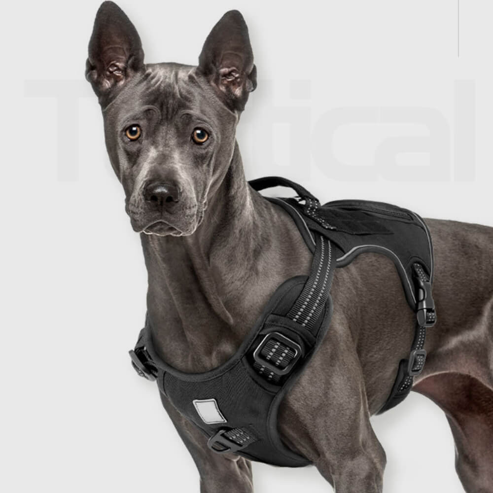 Tactical Heavy No Pull Easy On-Off Dog Harness