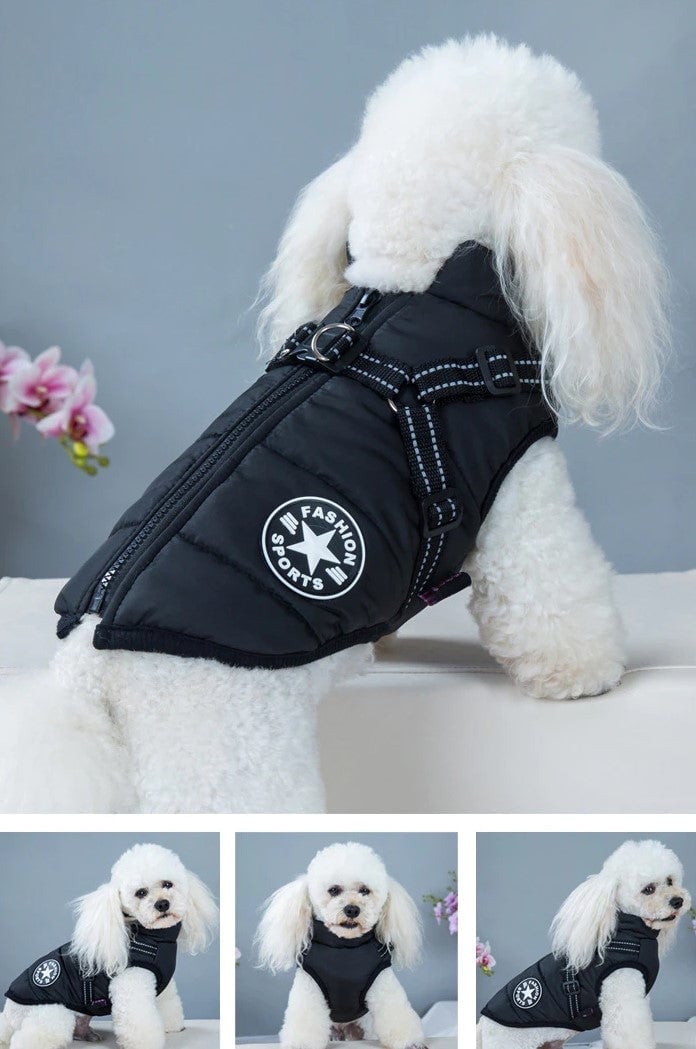🔥  Promotion 47% OFF - Waterproof Winter Dog Jacket with Built-in Harness