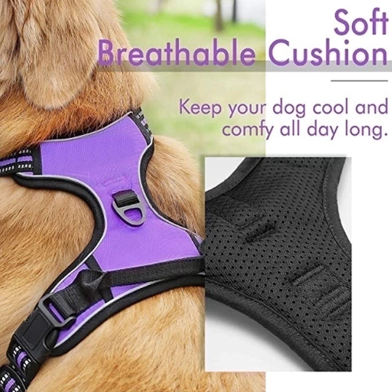 Minimalist Nylon Color Block Leash