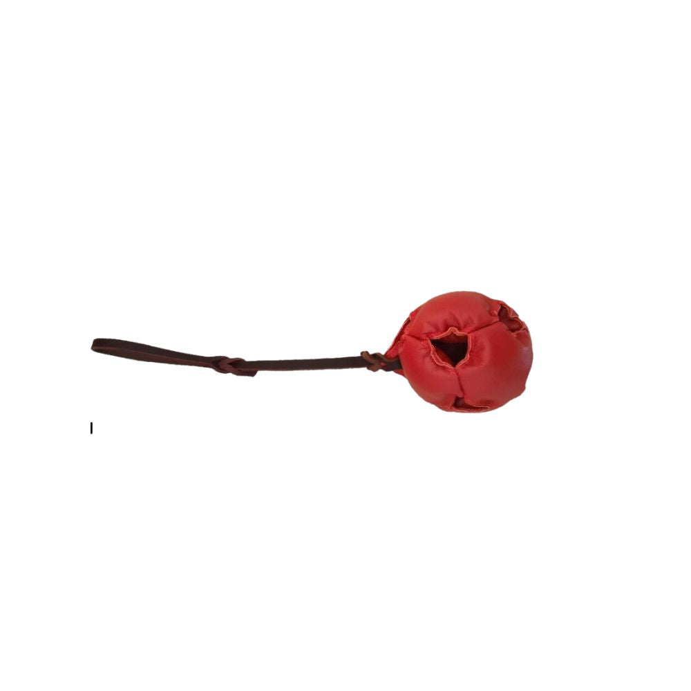 Training Dog Leather Ball