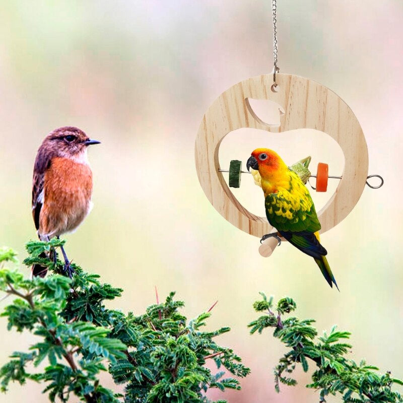 Bird Feeder for Outdoors Hanging