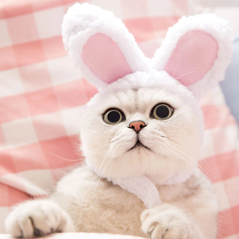 Pet Cat Rabbit Headgear Transformation Hat Cat Headwear Performance Props Funny Pet Hat Rabbit Ear Hat
