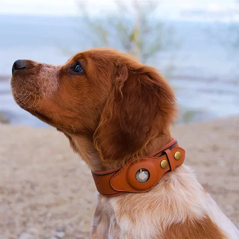 Leather AirTag Dog Collar