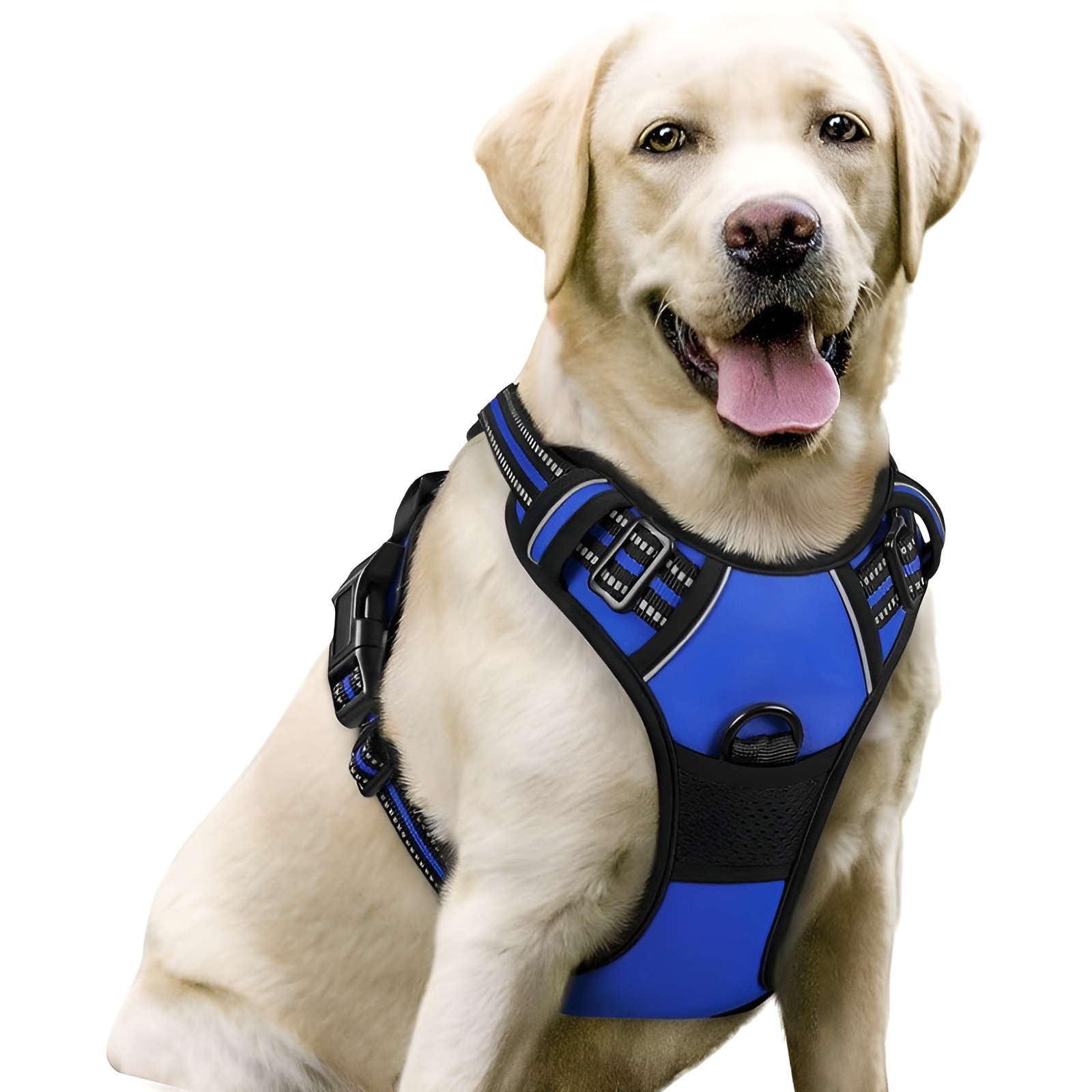 Dog Harness No Pull With 2 Leash Clips
