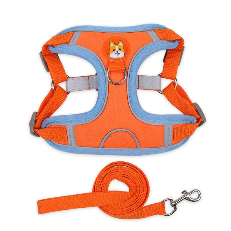 Reliable Dog Harness And Leash Set