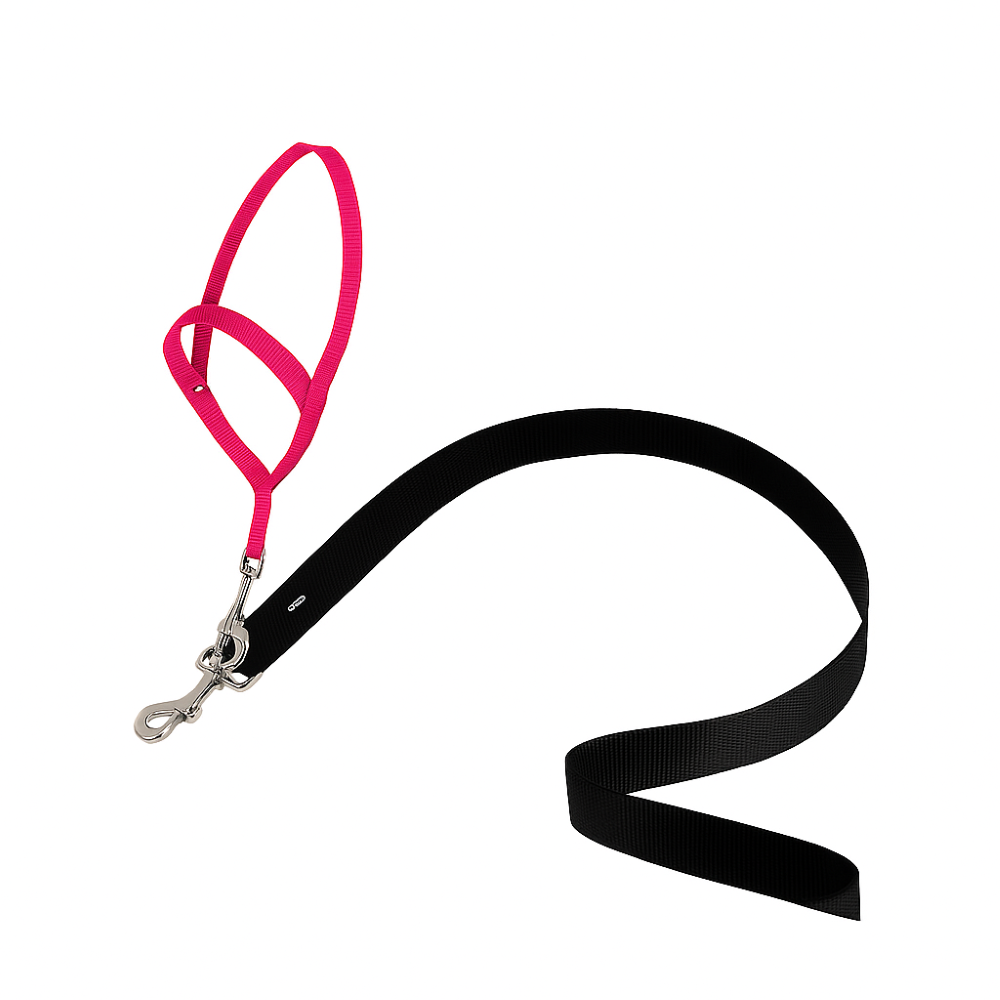 Adjustable No Pull Dog collar