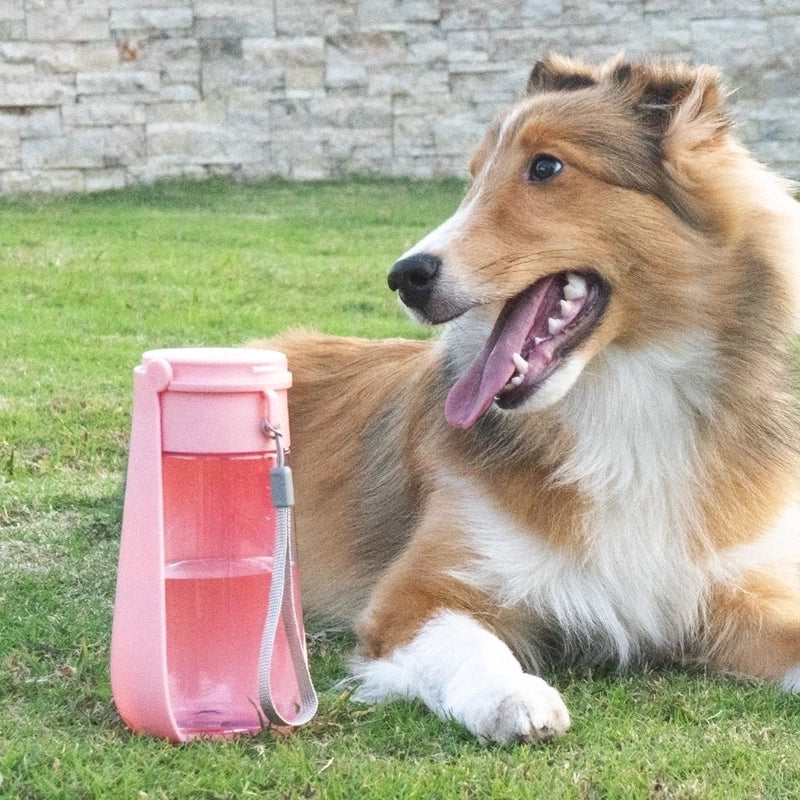 Pet Cups Portable Cup Water Feeder Folding Bottle Dog Outing Drinking Cup Portable Flip Pet Cup