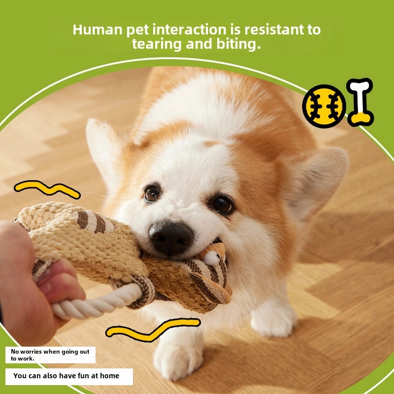 Pet Bite Toy Wear-resistant Tear-resistant Cotton Rope Toy Dog Molar Tooth Cleaning Cartoon Pet Toy
