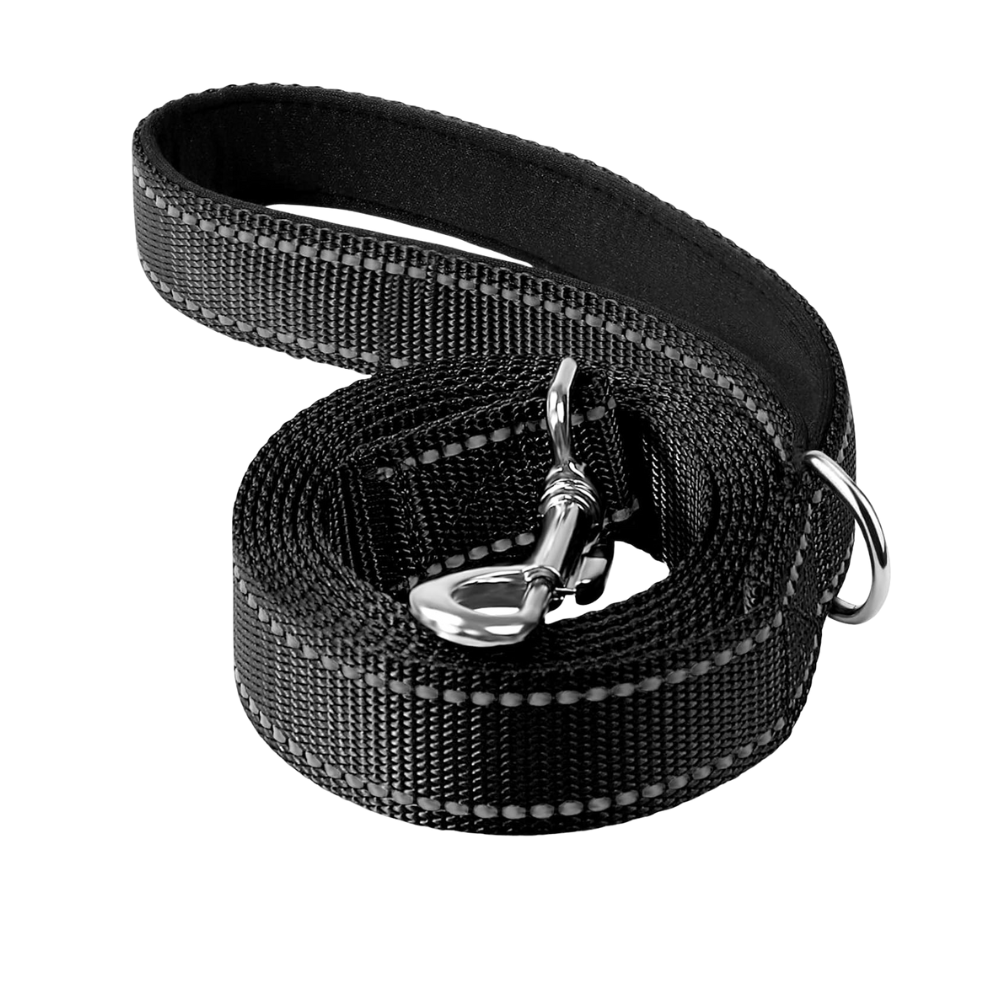 Double Sided Reflective Dog Leash