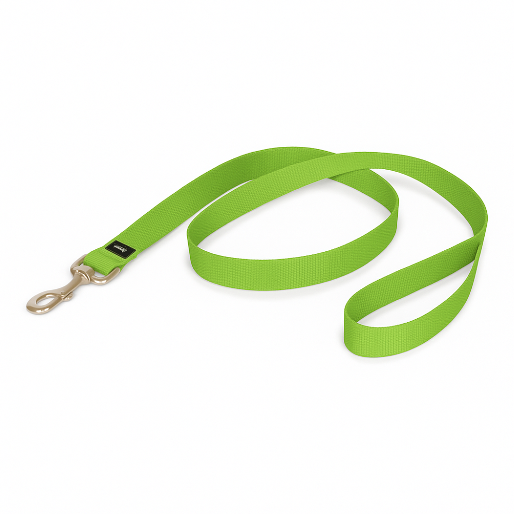 Adjustable No Pull Dog Harness With Training Leash