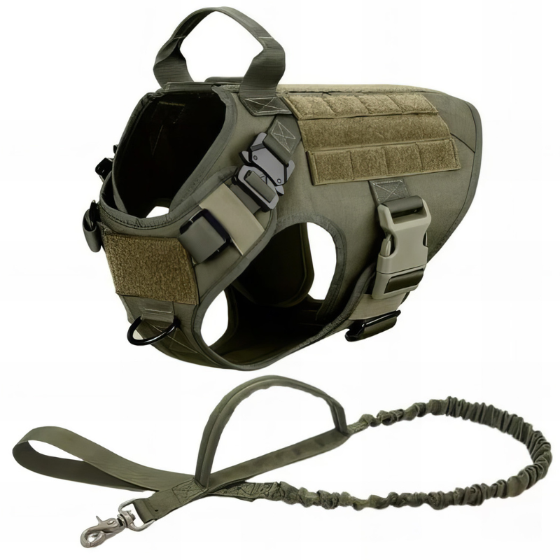 Vibrant Design Dog Harness With Accessories