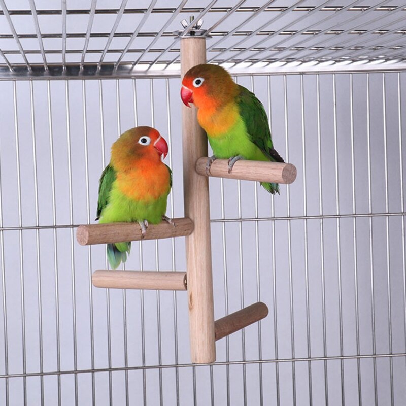 Bird Wooden Perch Toy