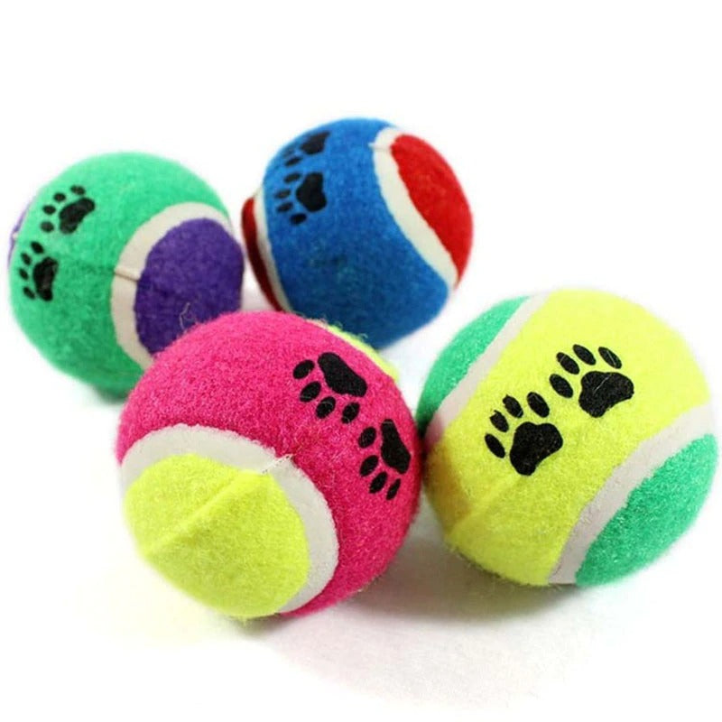 Tennis Balls Run Fetch Toys