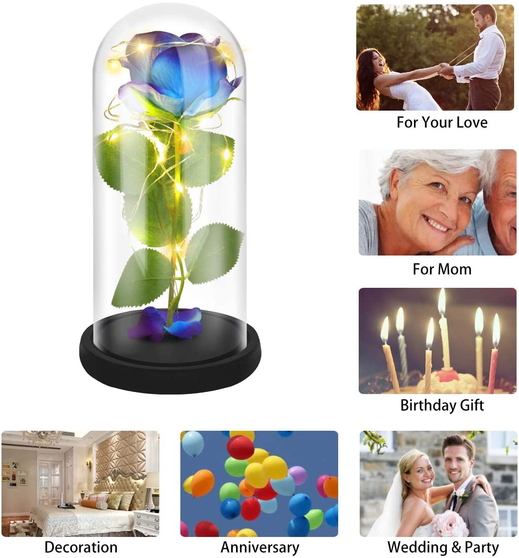 Rose That Lasts Forever in a Glass Dome with Led Lights.Gift for Mothers Day Valentine's Day Birthday Party Wedding Anniversary