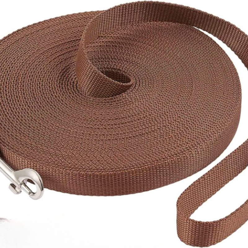 Puppy Obedience Recall Training Long Leash-For Dog
