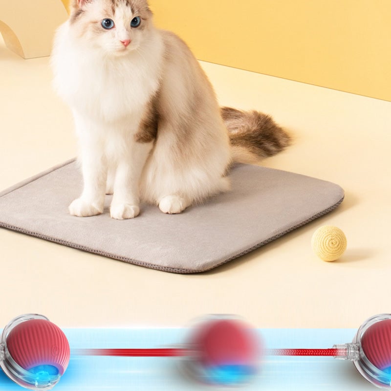 🐱🐶Smart Automatic Rolling Pet Ball