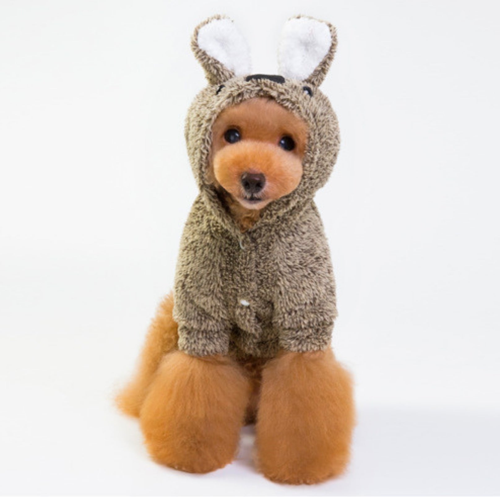 Cozy Koala Double-Fleece Dog Jacket