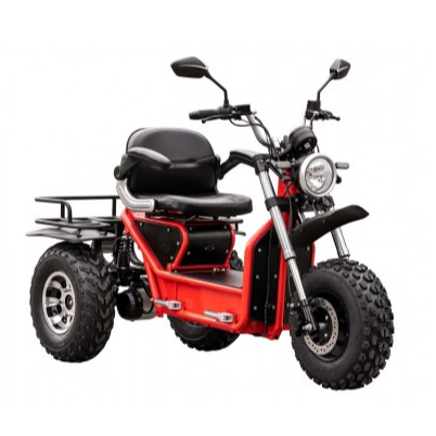 🔥Factory direct sales-All Terrain Off Road Mobility Scooter 80km Battery Life-Free three-year warranty