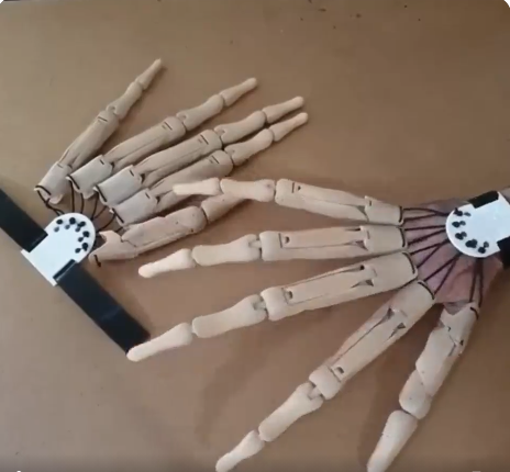 Articulated Fingers