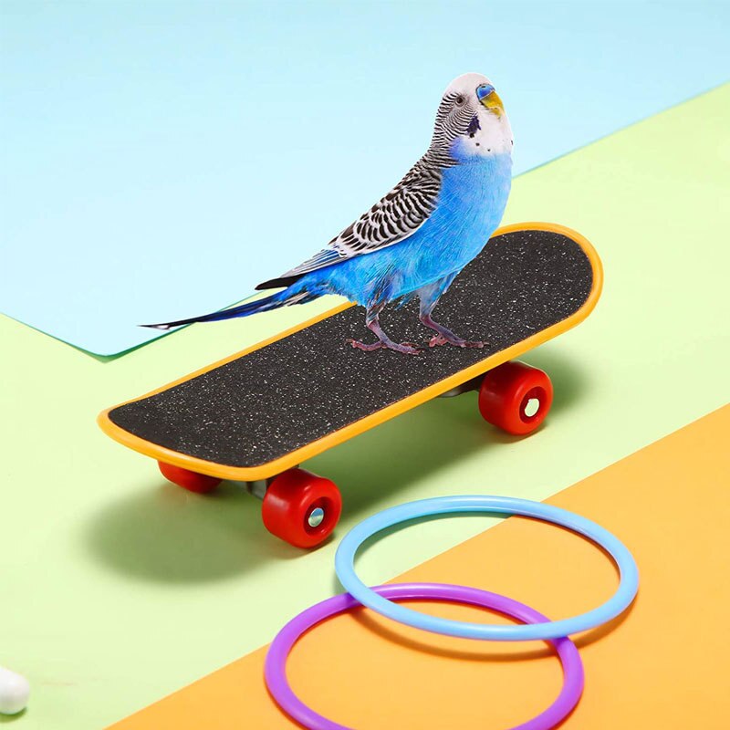6 Piece Toys For Bird