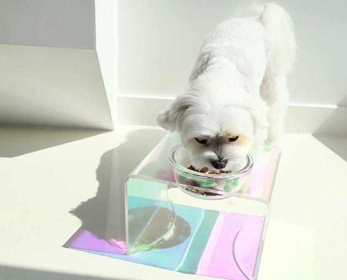The Holographic Aurora Elevated Pet Feeding Table - Pre Order