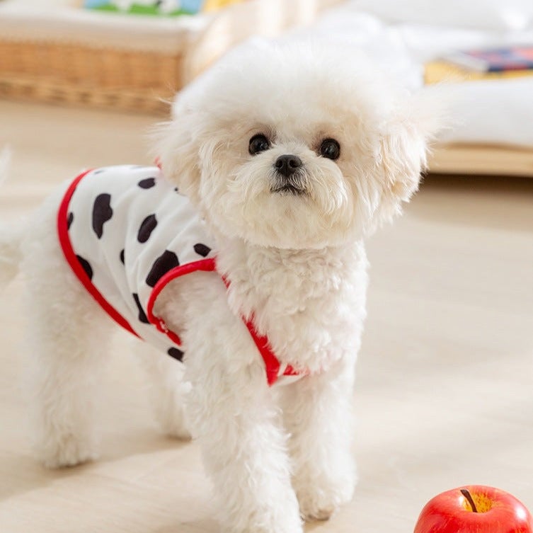 Cute Fruit Decor Dog Vest Harness