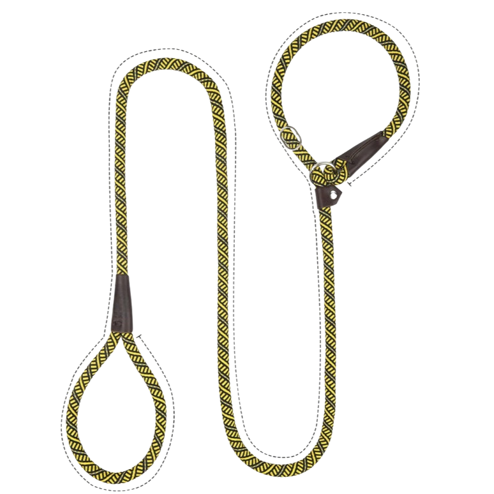 Sturdy Slip Training Leash