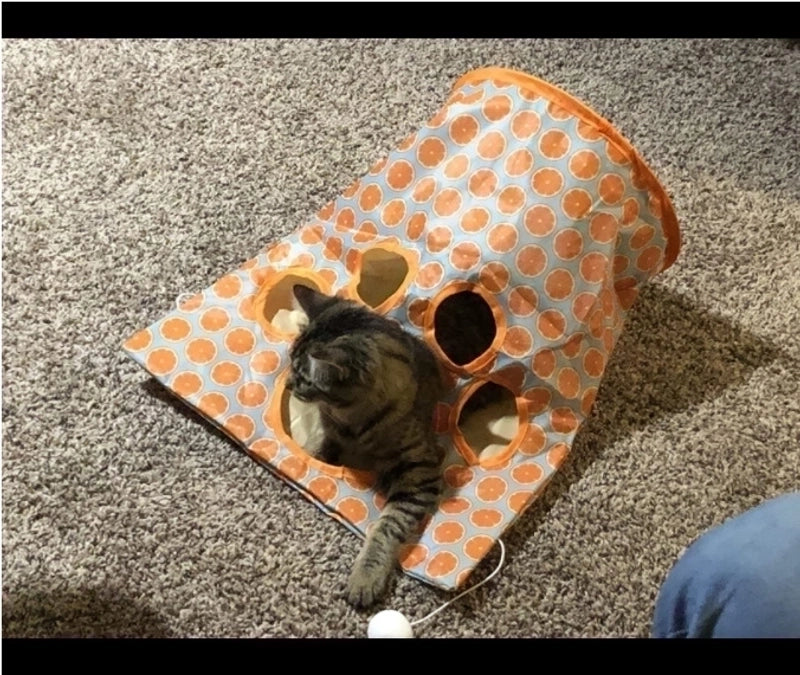 New Arrival Hot Sale Cat Diamond Bag Cat Tunnel Rolling Dragon With Ringing Paper Cat A Facility For Children To Bore Cat Interactive Play Cat Toy