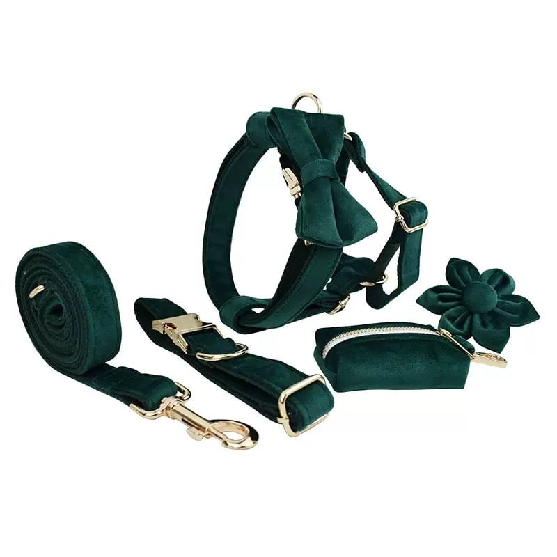 Velvet Personalized Dog Harness Collar Leash
