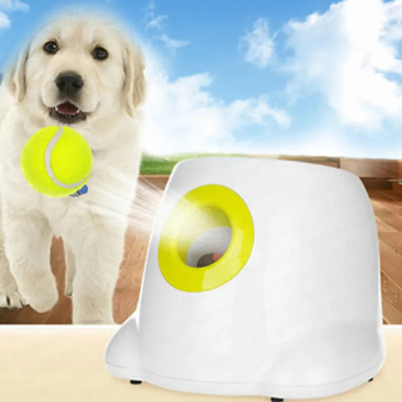 Automatic Pet Ball Launcher