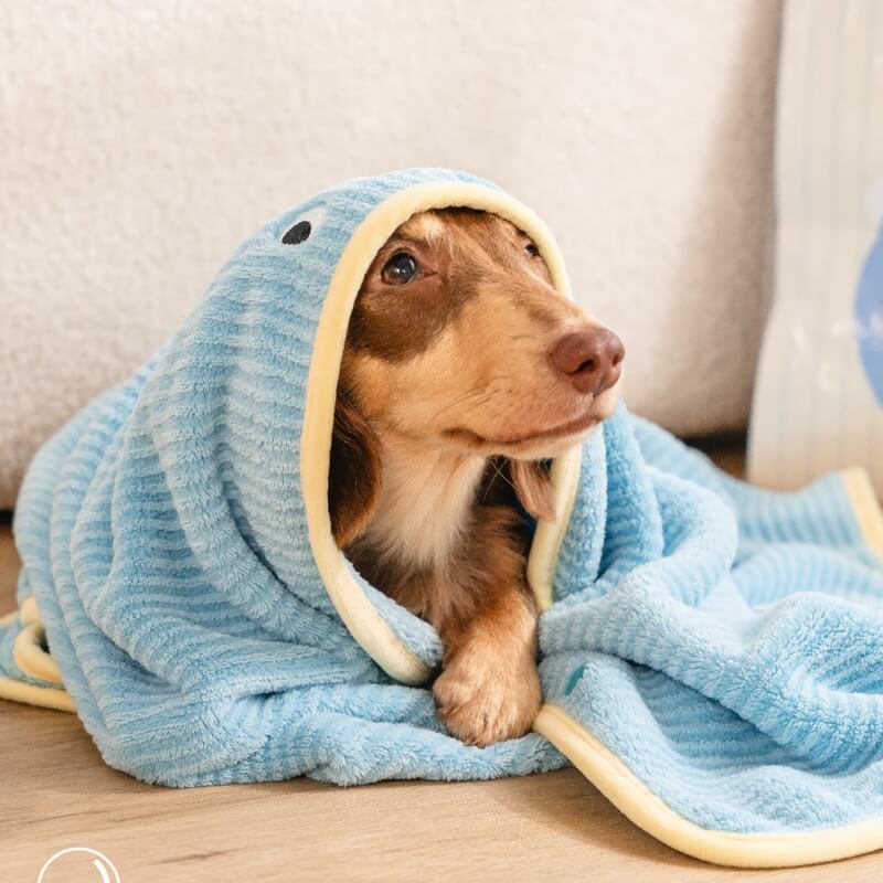 Soft Striped Quick-Dry Absorbent Dog Bathrobe Towel