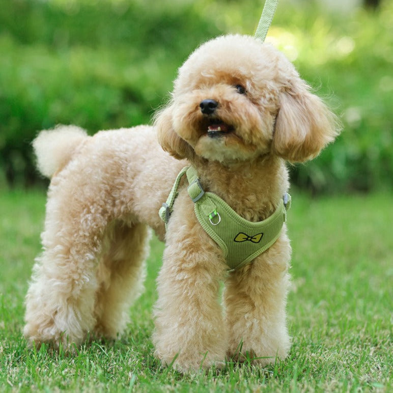 Bow Printed Soft Dog Harness&Leash