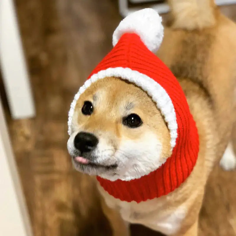 Winter Pet Christmas Hat Warmer
